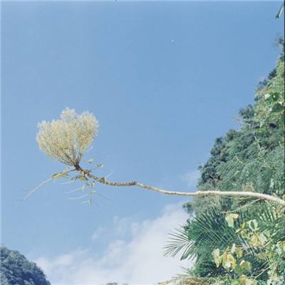 皇冠app下载官方版