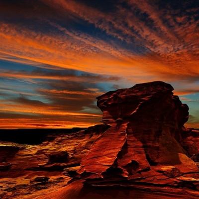 乐鱼APP官方登录入口leyu