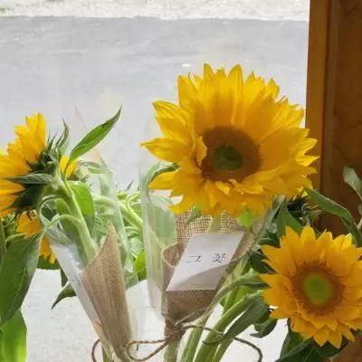 九游会AG手机app下载